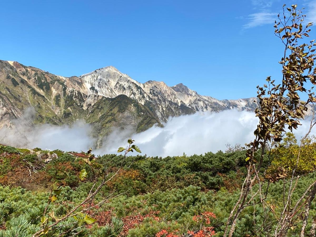 Bed and Breakfast Hareruya Hakuba Zewnętrze zdjęcie